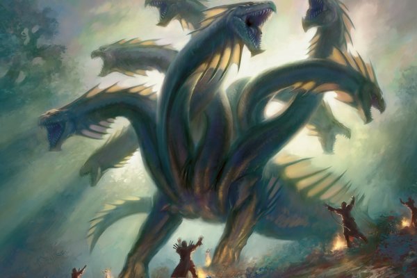 Kraken19 at
